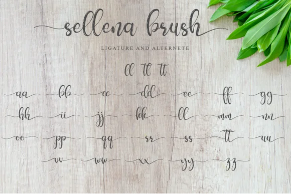 Sellena Font by Muksal Creative — Script Handwritten Font — thumbnail 7