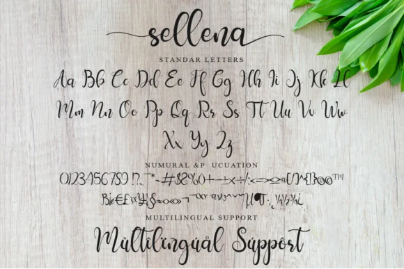 Sellena Font by Muksal Creative — Script Handwritten Font — thumbnail 8