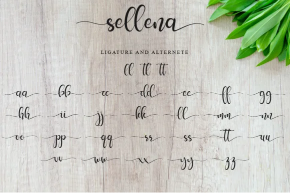 Sellena Font by Muksal Creative — Script Handwritten Font — thumbnail 9