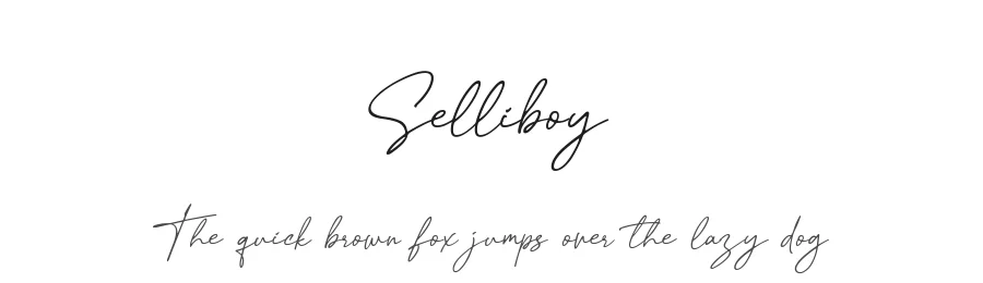 Selliboy