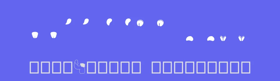 Semi by quadratype — Dingbats Font — thumbnail 3