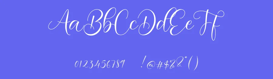 Serolissa by NanaNissa — Script Handwritten Font — thumbnail 3
