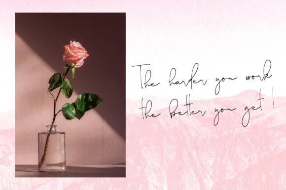 Shadow Blush Font by dmletter31 — Script Handwritten Font — thumbnail 4