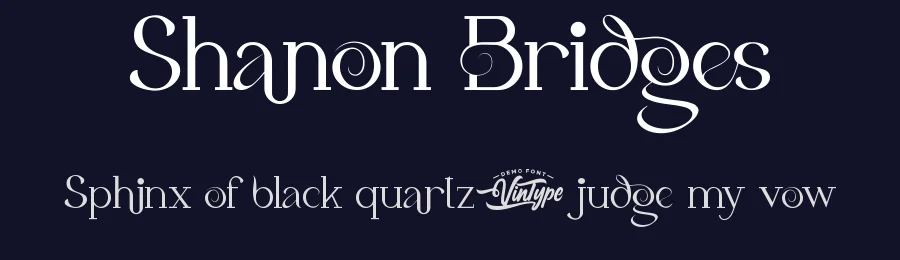 Shanon Bridges by VinType — Serif Font — thumbnail 2