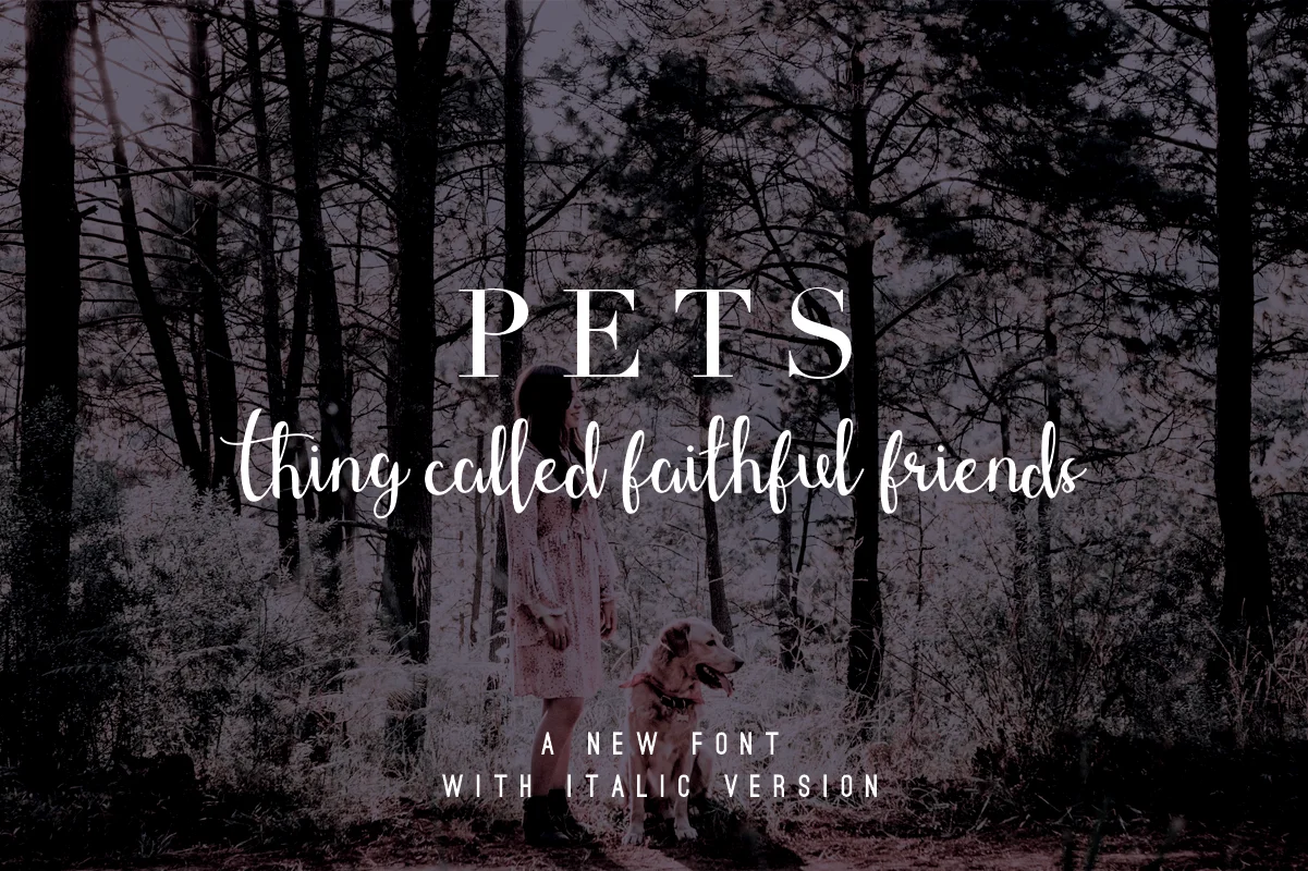Shefilla Font by Dharmas Studio — Script Handwritten Font — thumbnail 3