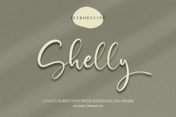 Shelly Font by Wildest Dreams Co — Script Handwritten Font