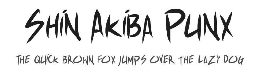 Shin Akiba Punx