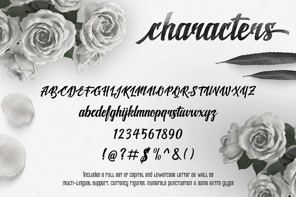 Shine Font by Rvq Type Foundry — Script Handwritten Font — thumbnail 3