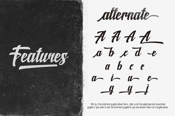 Shine Font by Rvq Type Foundry — Script Handwritten Font — thumbnail 4