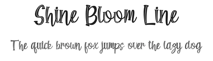 Shine Bloom Line by Rvandtype — Decorative Font