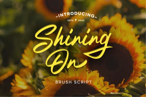 Shining on Font by luckysign — Script Handwritten Font
