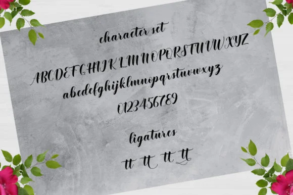 Shintia Font by Rudistudio by Rudistudio — Script Handwritten Font — thumbnail 5