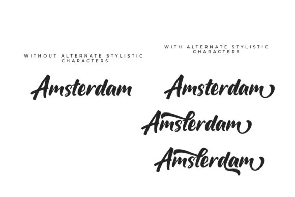 Shunda Font by Debut Studio — Script Handwritten Font — thumbnail 5