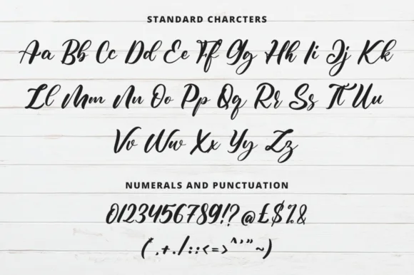Shutter Times Font by FatmaStudio — Script Handwritten Font — thumbnail 9