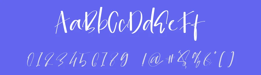 Signatine by Inermedia Studio — Script Handwritten Font — thumbnail 3