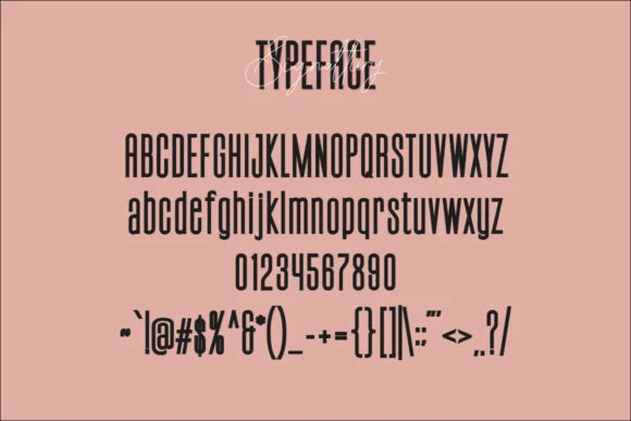 Signattury Font by Maulana Creative — Script Handwritten Font — thumbnail 8