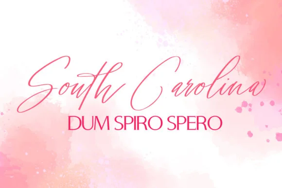 Signature Archive Font by freelingdesignhouse — Script Handwritten Font — thumbnail 5