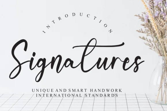 Signatures Font by Misterletter.co — Script Handwritten Font