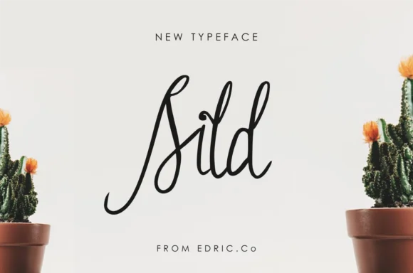 Sild Font by EdricStudio โ Script Handwritten Font