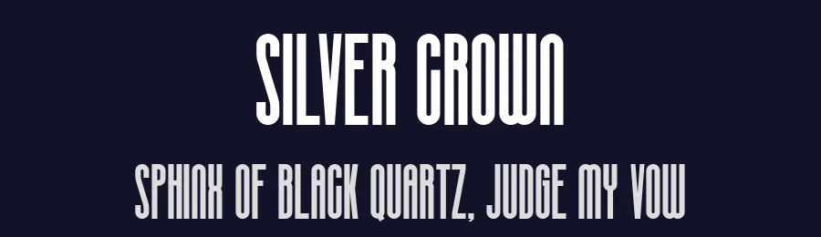 Silver Crown by Linecreative — Sans Serif Font — thumbnail 2