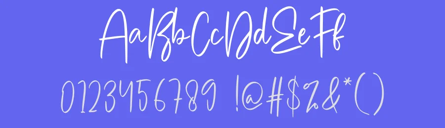 Simple Photography by Scratchones — Script Handwritten Font — thumbnail 3