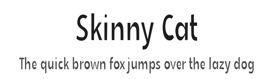 Skinny Cat by Misti's Fonts — Sans Serif Font