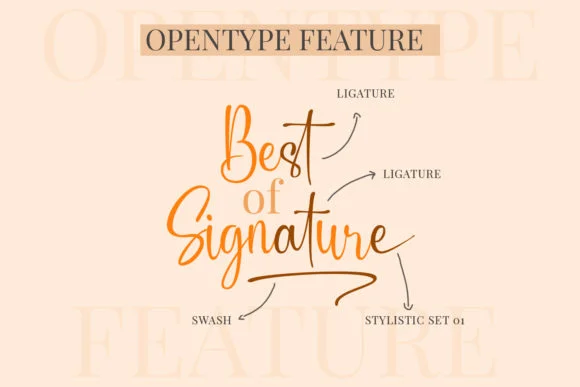 Slandia Signature Font by Mytype Studio — Script Handwritten Font — thumbnail 8