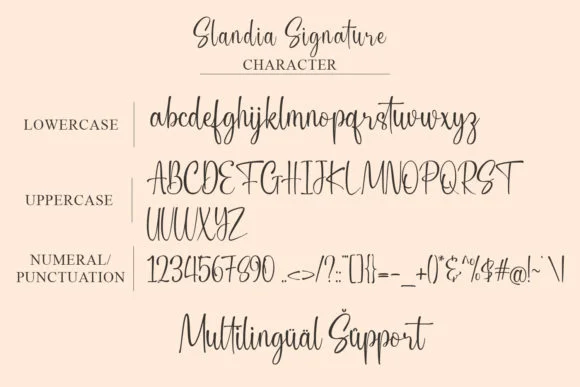 Slandia Signature Font by Mytype Studio — Script Handwritten Font — thumbnail 9
