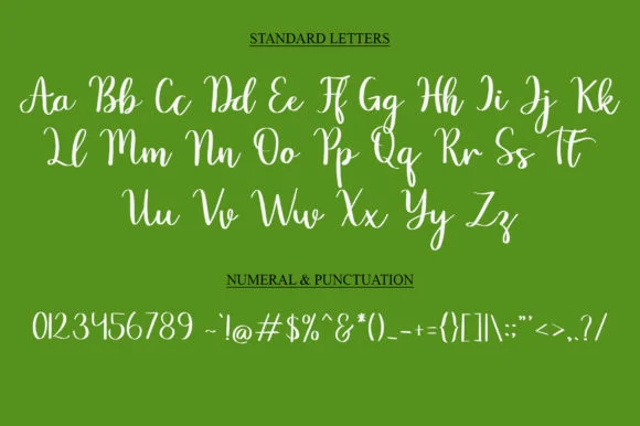 Smart Cat Font by najmustsaqib.creator — Script Handwritten Font — thumbnail 5