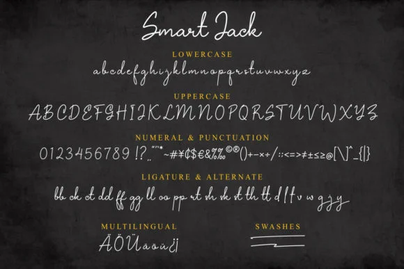 Smart Jack Font by MarioDsgn — Script Handwritten Font — thumbnail 5