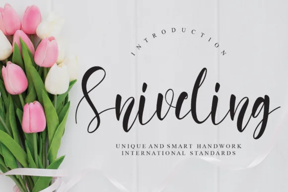 Sniveling Font by Misterletter.co — Script Handwritten Font