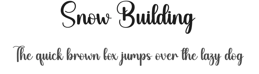Snow Building