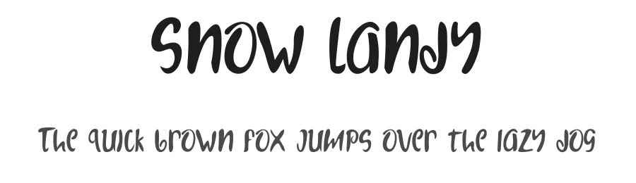 Snow Landy