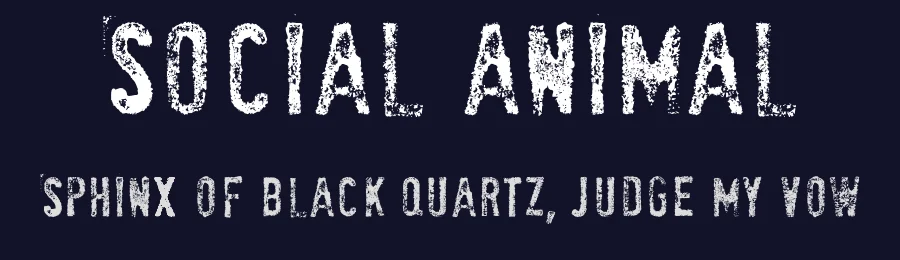 SociaL AnimaL by bonafide ontwerp — Decorative Font — thumbnail 2