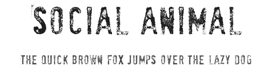 SociaL AnimaL by bonafide ontwerp β Decorative Font
