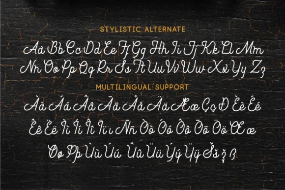 Southfilla Script Font by Azetype — Script Handwritten Font — thumbnail 4