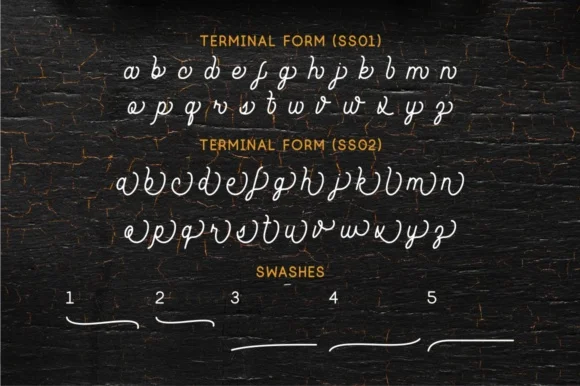 Southfilla Script Font by Azetype — Script Handwritten Font — thumbnail 5