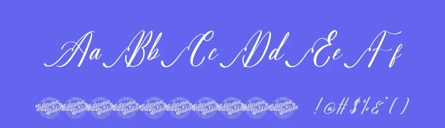 Sovinhaya Dictaselin by Letterena Studios — Script Handwritten Font — thumbnail 3