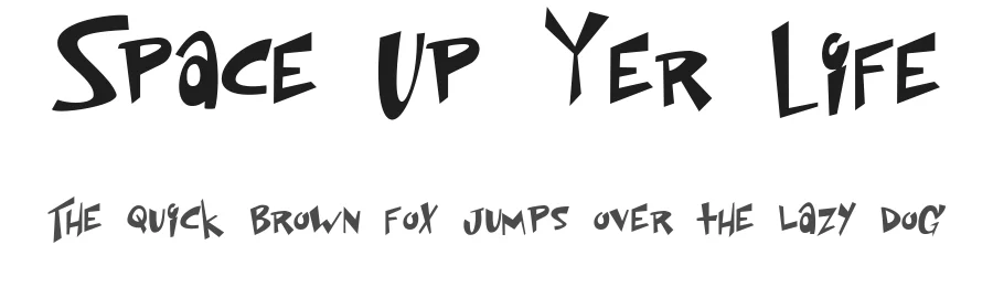 Space Up Yer Life