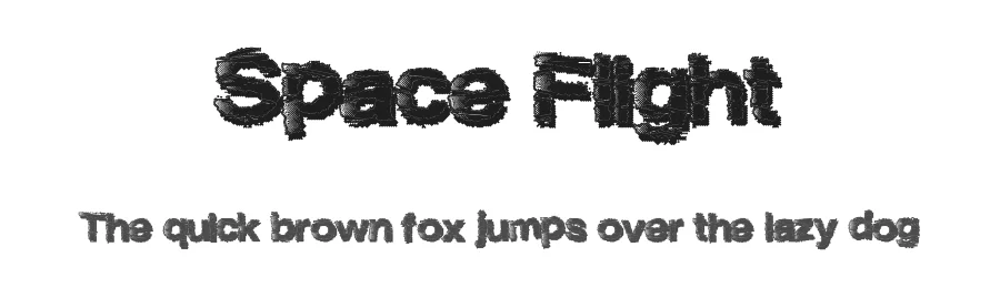 Space Flight