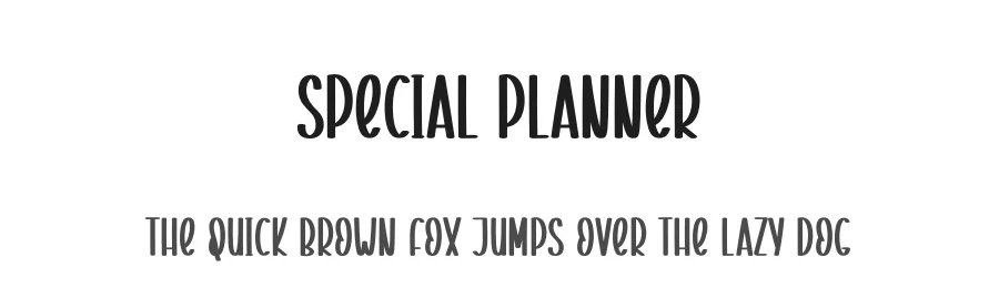 Special Planner