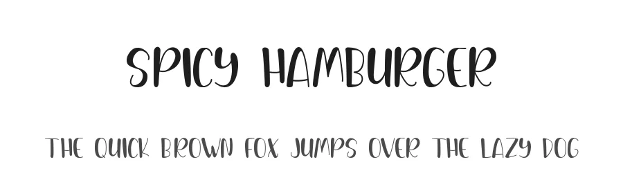 Spicy Hamburger