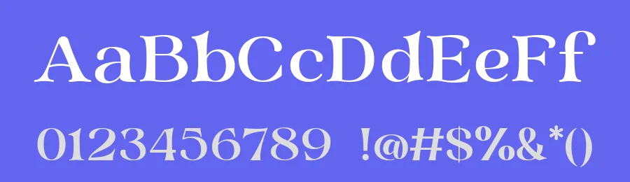 Spidro Marley by Alit Design — Serif Font — thumbnail 3
