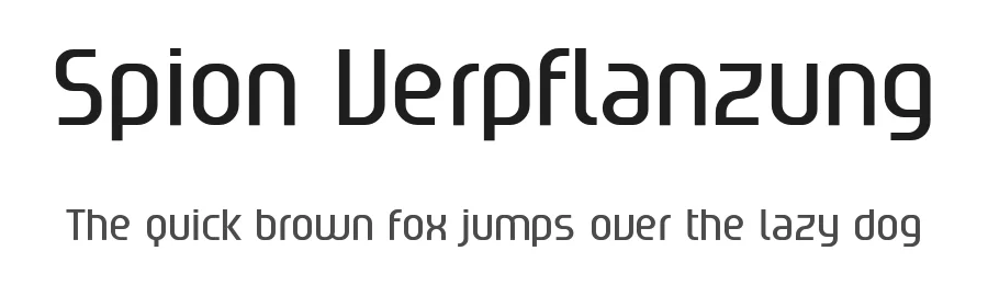 Spion Verpflanzung by Peridot Kitchen-Sink — Sans Serif Font