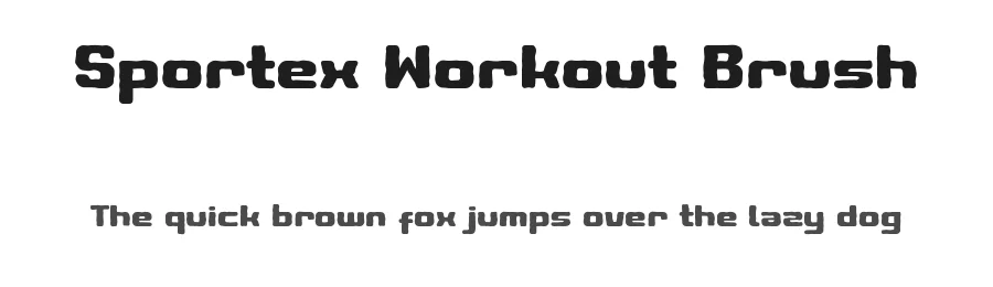 Sportex Workout Brush