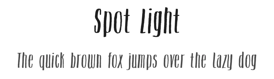 Spot Light