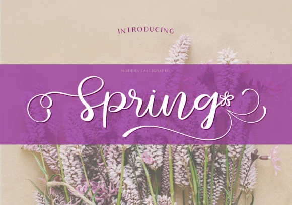Spring Font by BB Type Studios — Script Handwritten Font