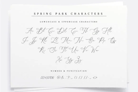 Spring Park Font by etigletters — Script Handwritten Font — thumbnail 4