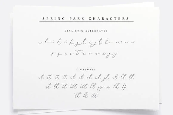 Spring Park Font by etigletters — Script Handwritten Font — thumbnail 5