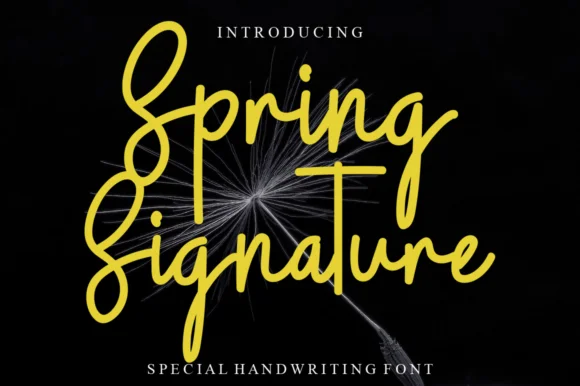 Spring Signature Font by Garcio — Script Handwritten Font